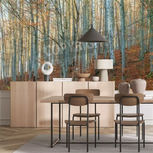 Fotobehang Berken in de herfst