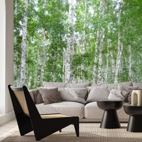 Fotobehang Dichte berken