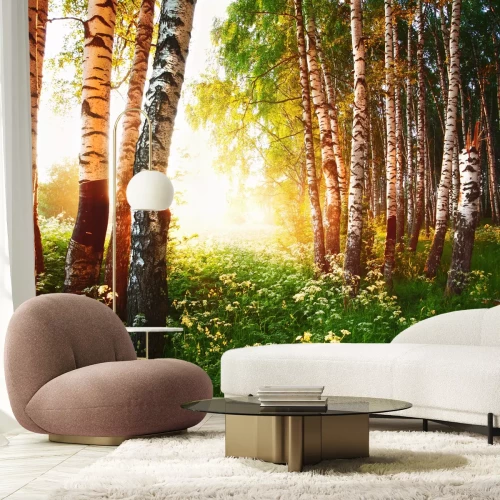 Fotobehang Berken en bloemen