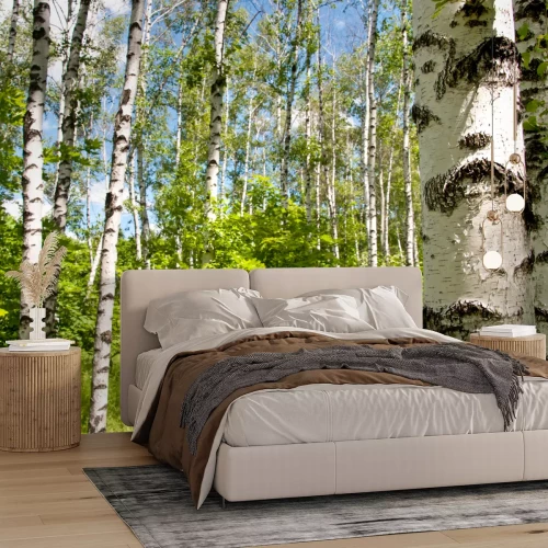 Fotobehang 3D berken en groen gras