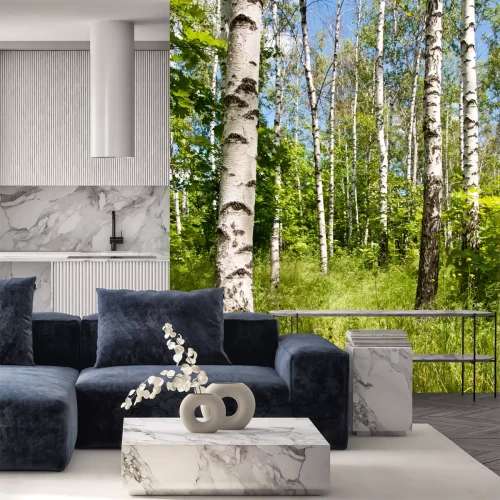 Fotobehang Berken en wilde vegetatie