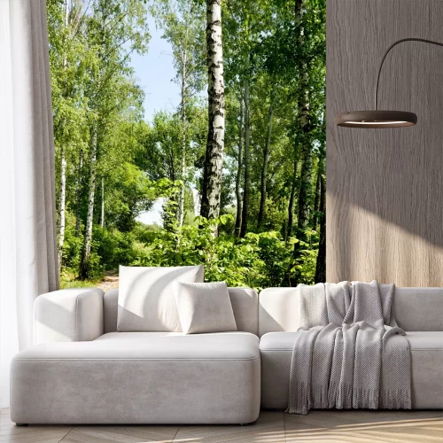 Fotobehang Een pad door een berkenbos