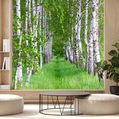 Fotobehang Bloeiende berken