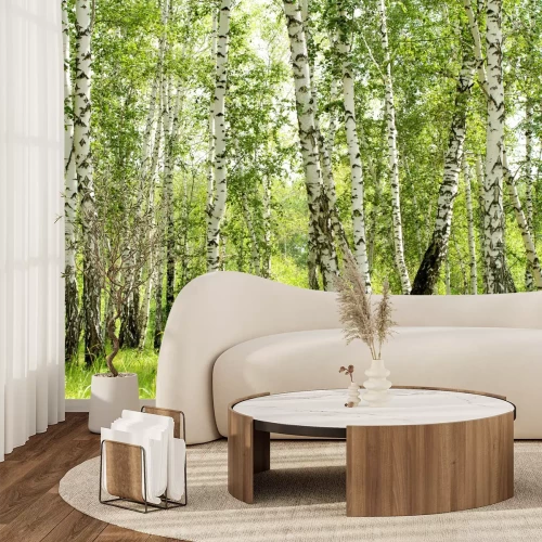 Fotobehang 3D berken in het bos
