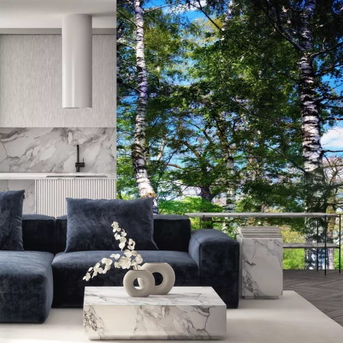 Fotobehang Hoge berken