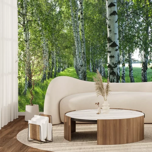 Fotobehang Zwart-witte berken in de zon