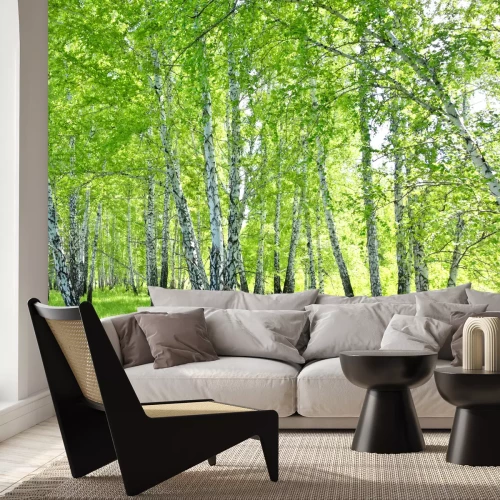 Fotobehang Zwart-witte berken met bladeren