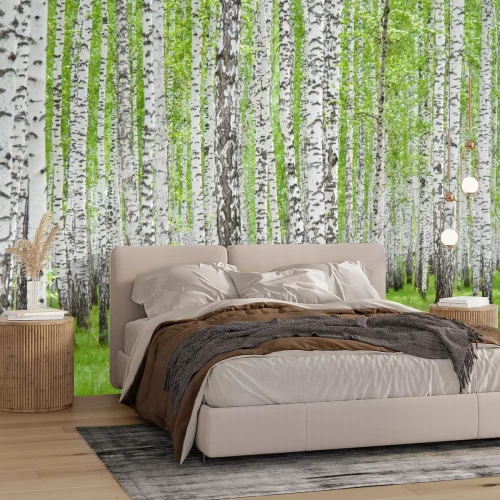 Fotobehang Zwart-witte berken