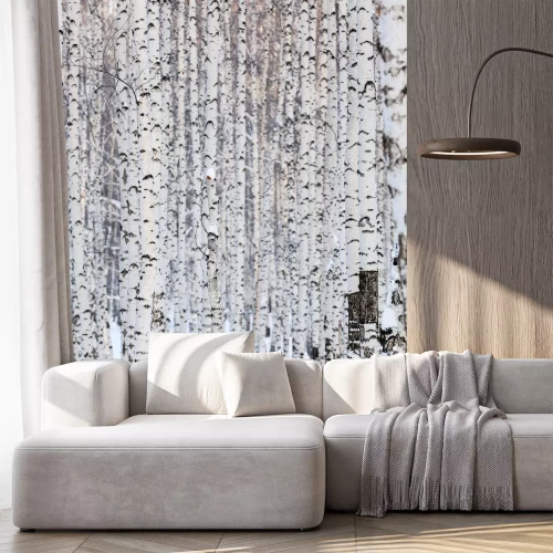 Fotobehang Berken in de winter