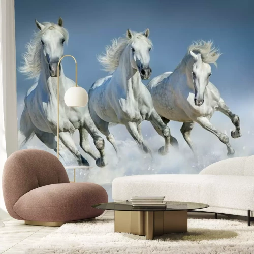 Sticker Drie witte paarden galopperen in de sneeuw