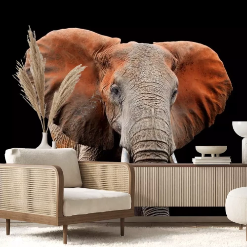 Sticker Olifant op een donkere achtergrond