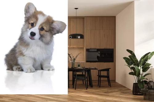 Visualisatie van het product