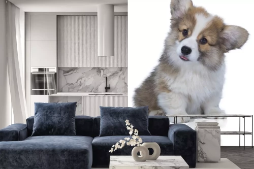 Visualisatie van het product