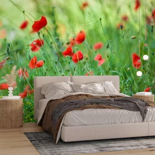 Fotobehang Veldpapavers in de zomer