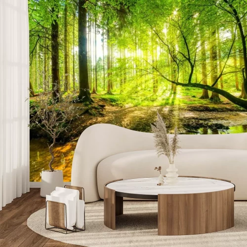 Fotobehang Zonsopgang in het groene bos en de rivier