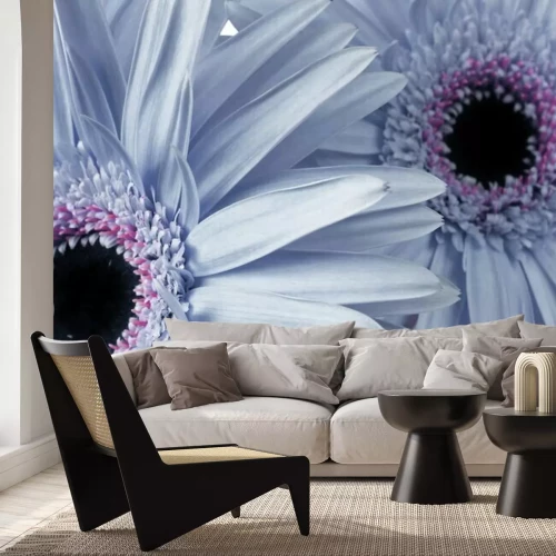 Fotobehang Blauwe madeliefjes