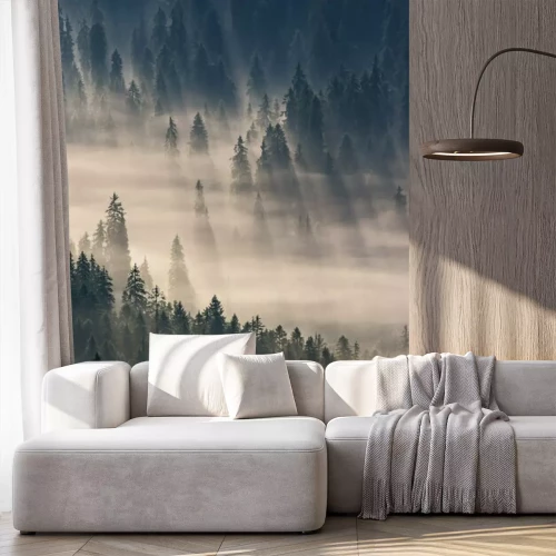 Fotobehang Toppen van naaldbomen in de mist