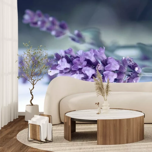 Fotobehang Macrofotografie van lavendel