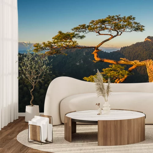 Fotobehang Bergen en groen bos