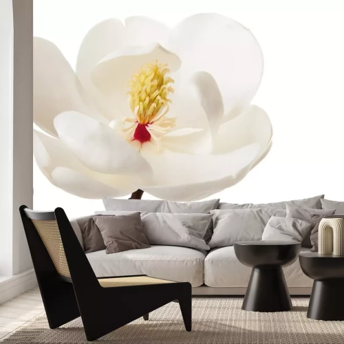 Sticker Magnolia met zichtbare meeldraden