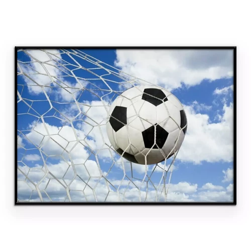 Poster De bal gaat in het doel.
