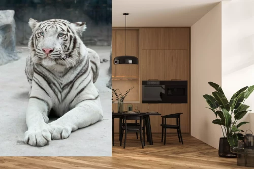 Visualisatie van het product