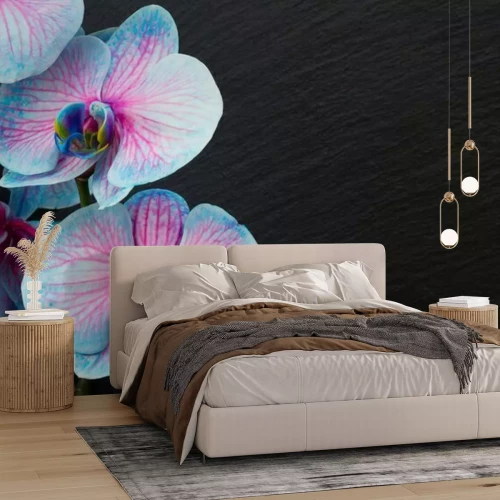 Fotobehang Boeket paarse orchideeën