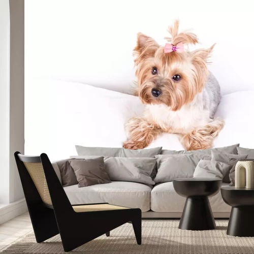 Sticker Yorkshire terrier moeder, geïsoleerd op wit.