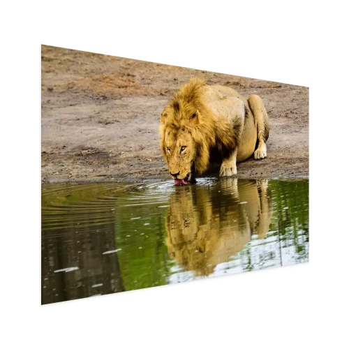 Visualisatie van het product