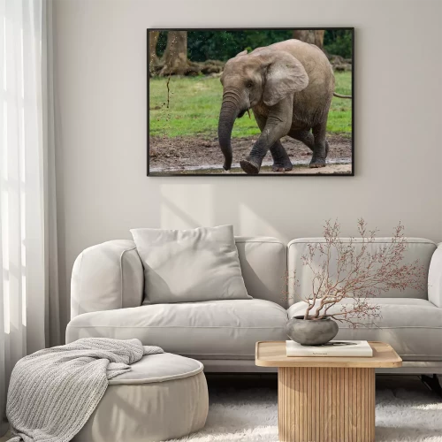 Visualisatie van het product