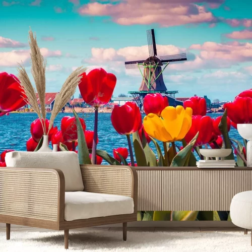 Fotobehang De Bloesem van tulpen in het Nederlandse dorp met beroemde molens.