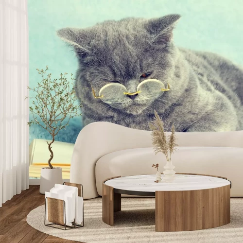 Sticker Cats focuste kat met bril volgens het boekje