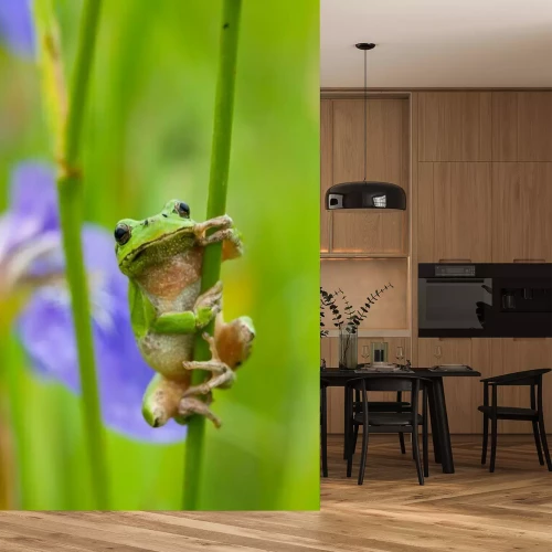 Fotobehang Groene kikker die zich vastklampt aan het gras