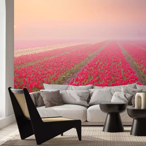 Sticker Plantage van rode tulpen