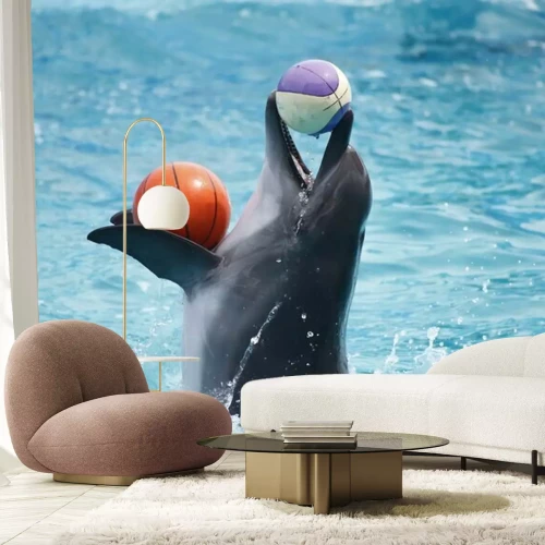 Sticker Schattige dolfijnen tijdens een toespraak in het Dolfinarium