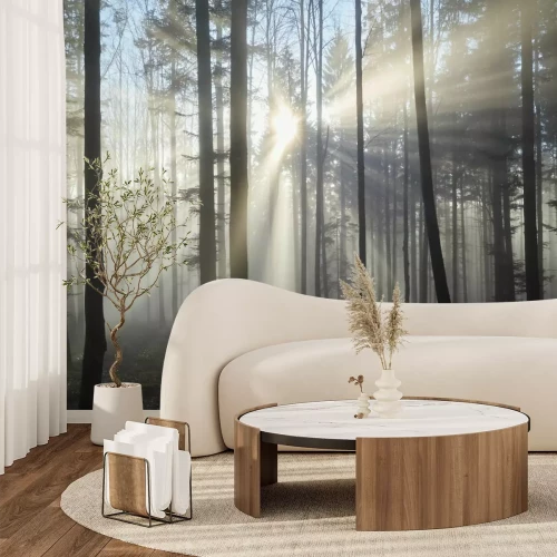 Fotobehang Het begin van de dag in het mistige bos