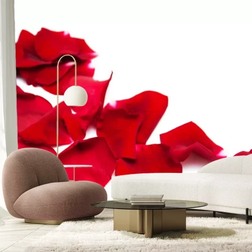 Sticker Rode rozenblaadjes op een witte achtergrond