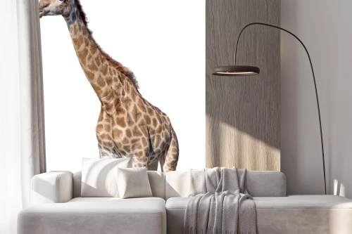 Visualisatie van het product