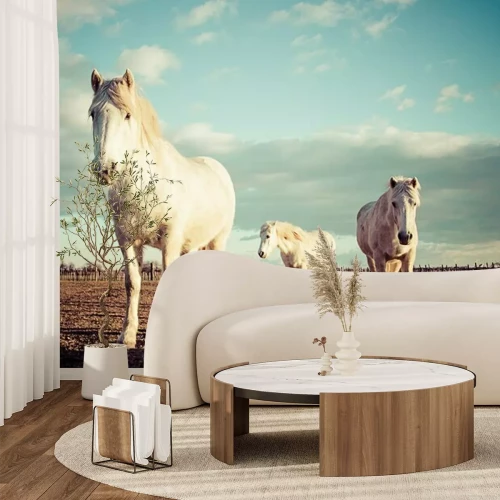 Sticker Een kudde paarden in een weiland bij zonsondergang.