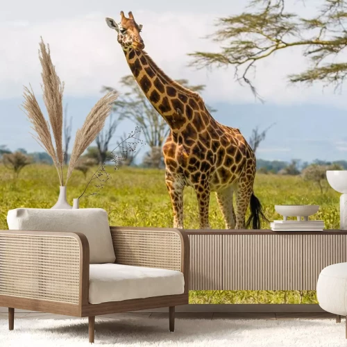 Sticker Giraffe op het platteland