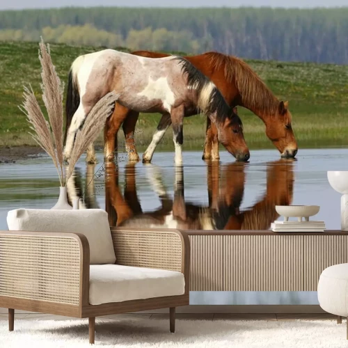Sticker Verliefde paarden waden in het water