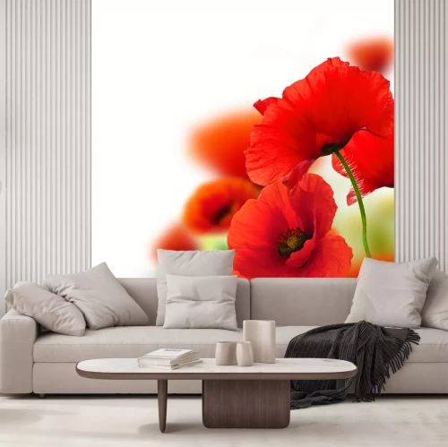 Sticker Rode veldbloemen op een witte achtergrond