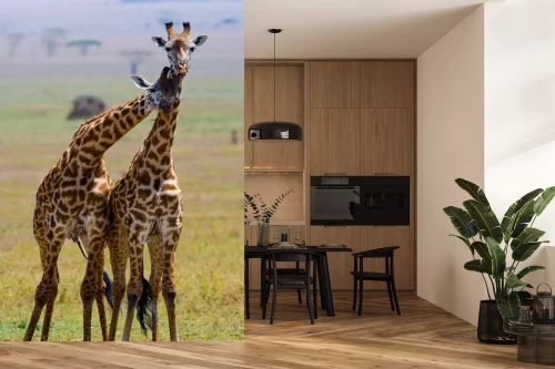 Visualisatie van het product