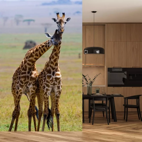 Sticker Twee giraffen in savanne. Kenia. Tanzania. Oost Afrika. Een uitstekende illustratie.