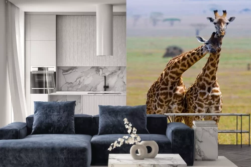 Visualisatie van het product