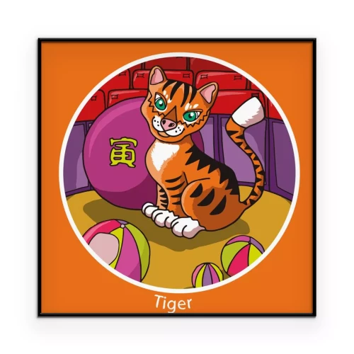 Visualisatie van het product