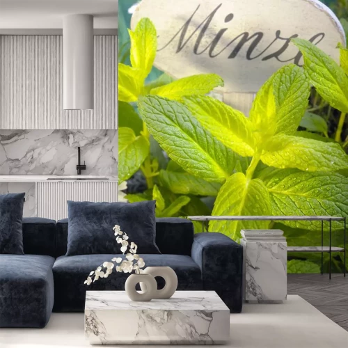 Sticker Munt groeit onder de beschreven plaat