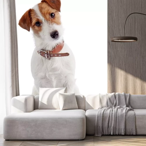 Sticker Kleine hondje van het ras een Jack Russell Terrier