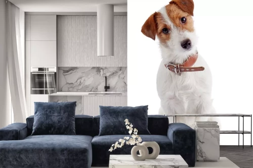 Visualisatie van het product