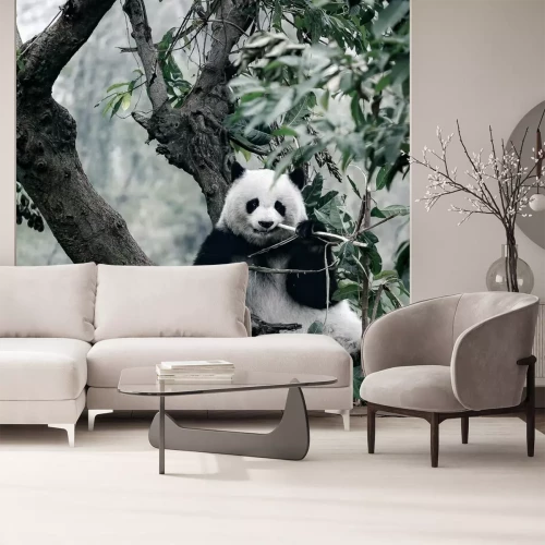 Sticker panda op boom